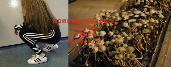 mdpv Кодинск