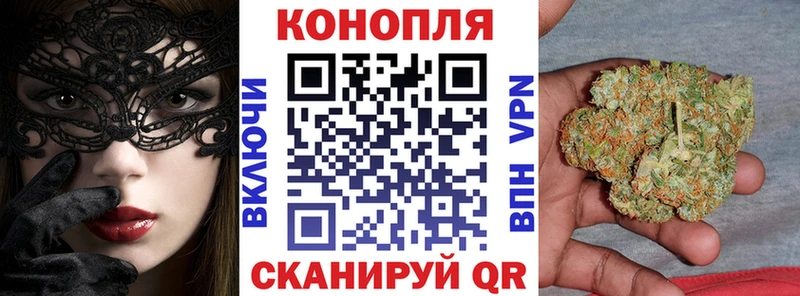 купить  цена  Красноперекопск  Конопля ГИДРОПОН 